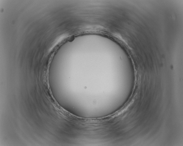 X0000062911211200602101823