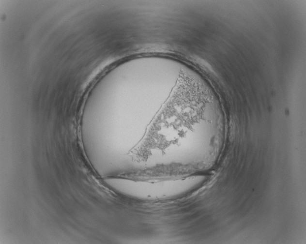 X0000062911212200602101823