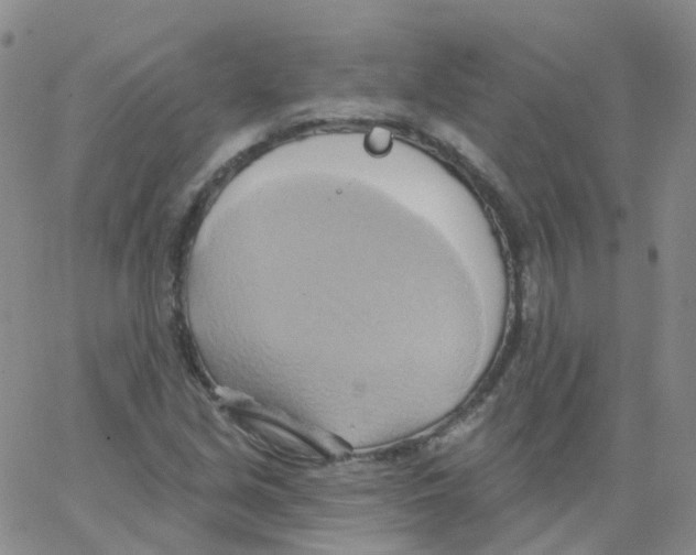 X0000062911213200602101823