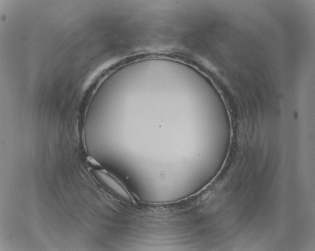 X0000062911214200602101823