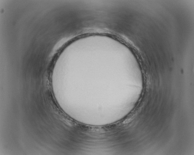 X0000062911215200602101823