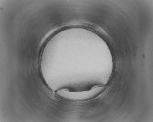 X0000062911216200602101823