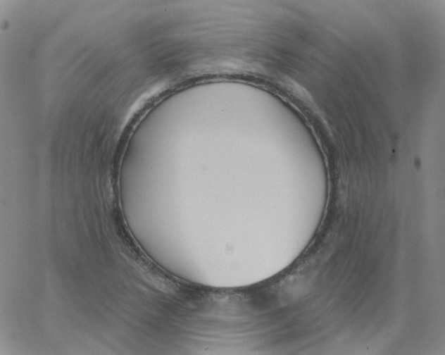 X0000062911218200602101824