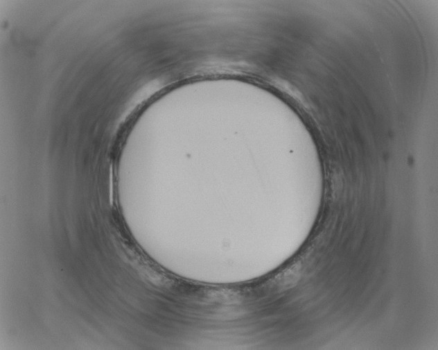 X0000062911219200602101824