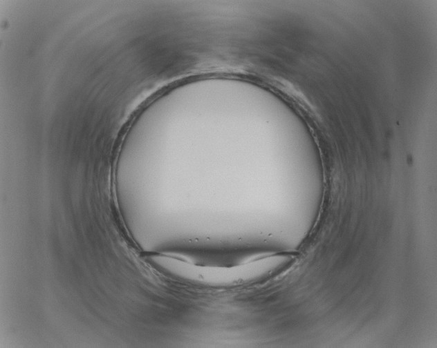 X0000062911220200602101824