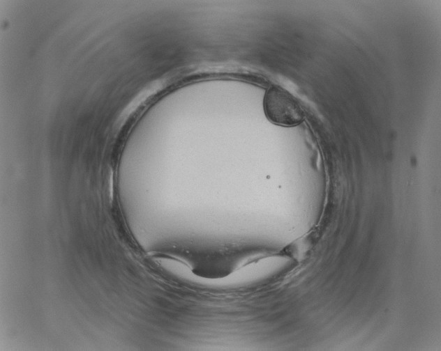 X0000062911221200602101824