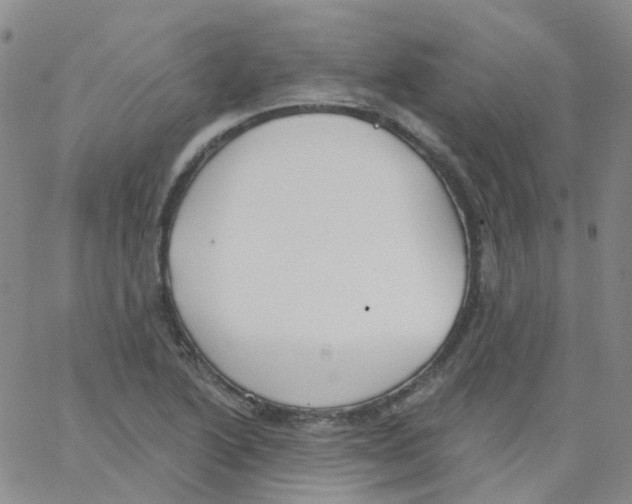 X0000062911222200602101824