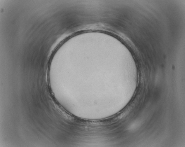 X0000062911224200602101824