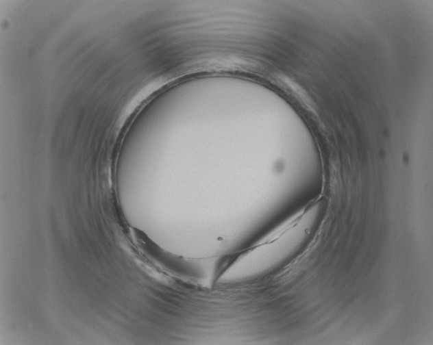 X0000062911226200602101824