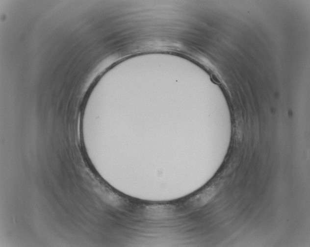 X0000062911227200602101824