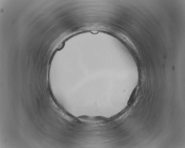 X0000062911228200602101824