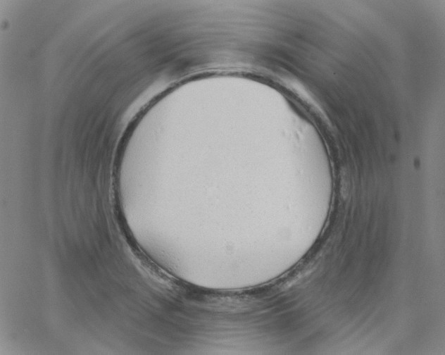 X0000062911229200602101824