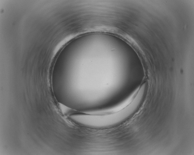 X0000062911230200602101824