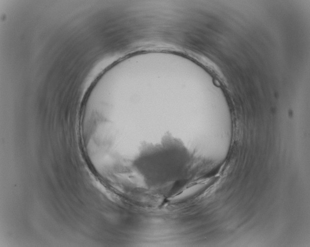 X0000062911231200602101824