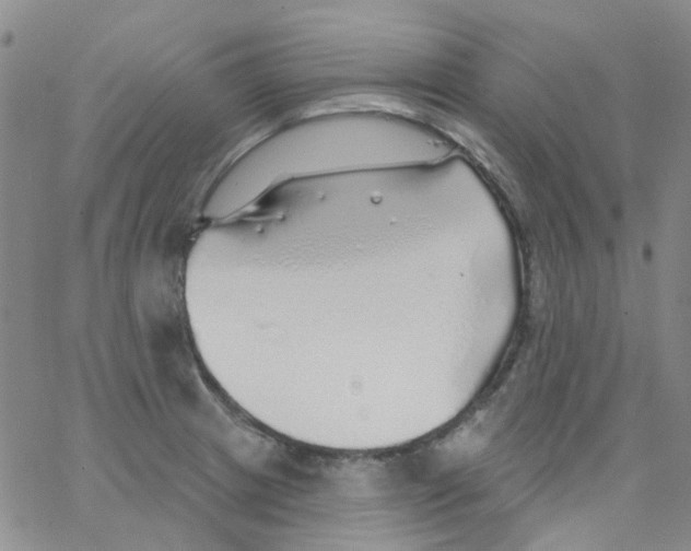 X0000062911233200602101824