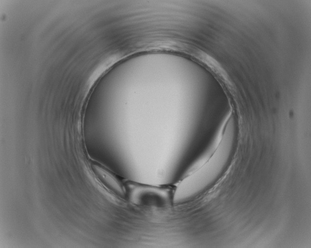 X0000062911234200602101824