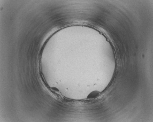 X0000062911235200602101824