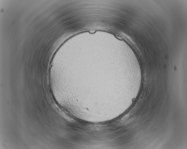 X0000062911236200602101824