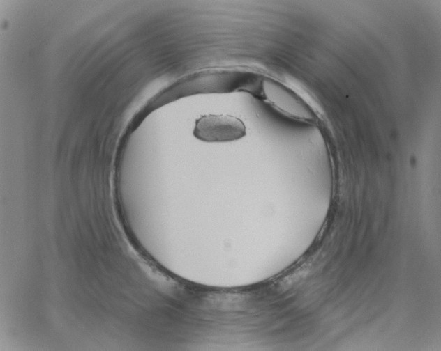 X0000062911237200602101824