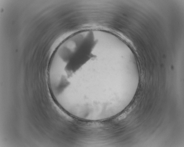 X0000062911239200602101824