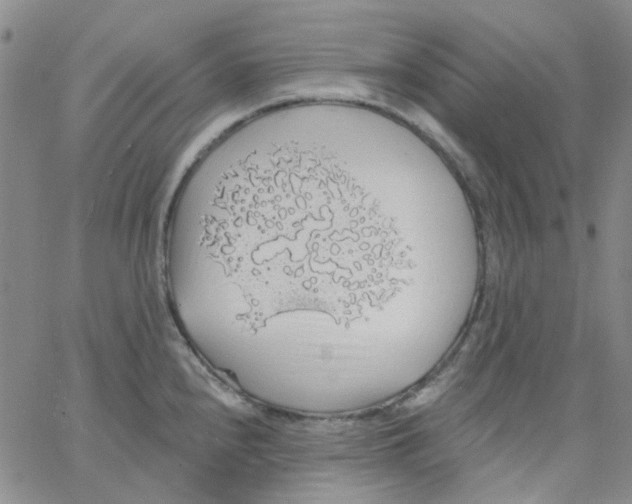 X0000062911240200602101824