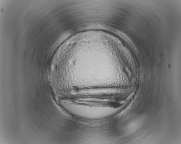 X0000062911241200602101824