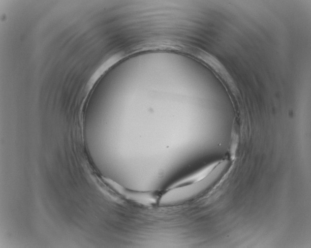 X0000062911242200602101824