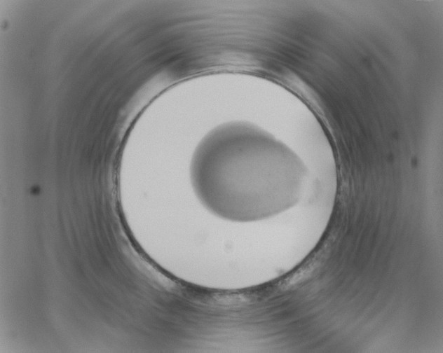 X0000062911243200602101824