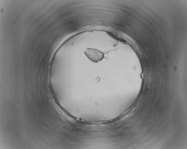 X0000062911244200602101824