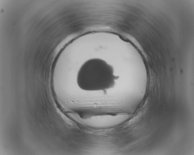 X0000062911245200602101824