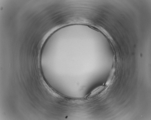 X0000062911246200602101824