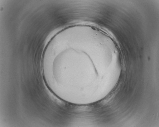 X0000062911247200602101824