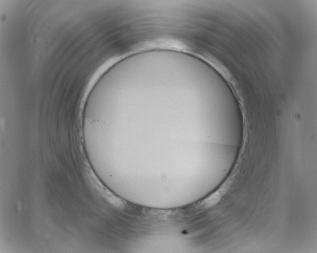 X0000062911248200602101824