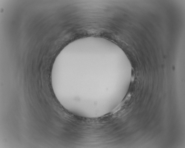 X0000062911249200602101823