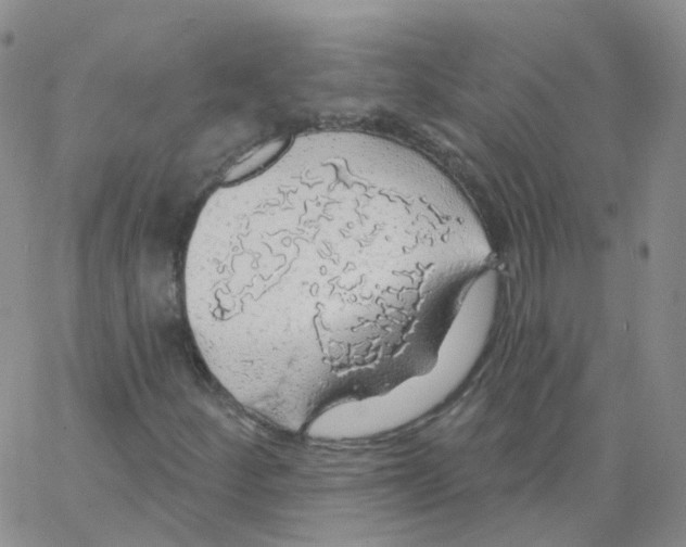 X0000062911252200602101823