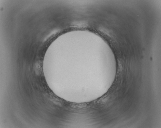 X0000062911254200602101823