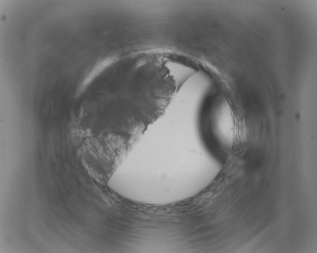 X0000062911255200602101823