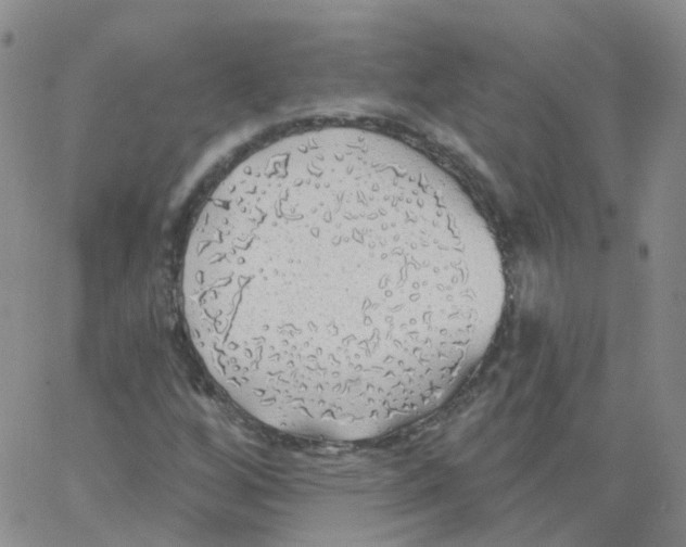 X0000062911256200602101823