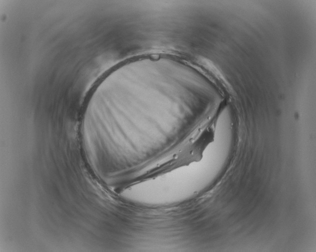 X0000062911260200602101823