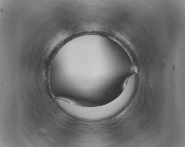 X0000062911261200602101823