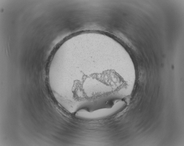 X0000062911264200602101823