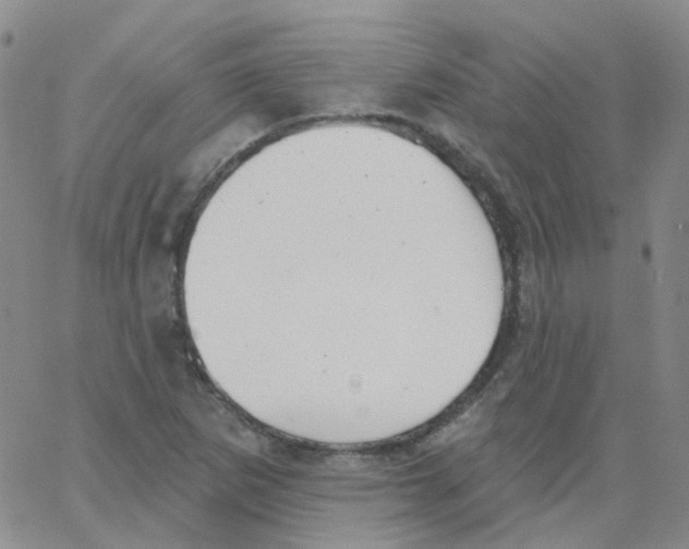 X0000062911265200602101823