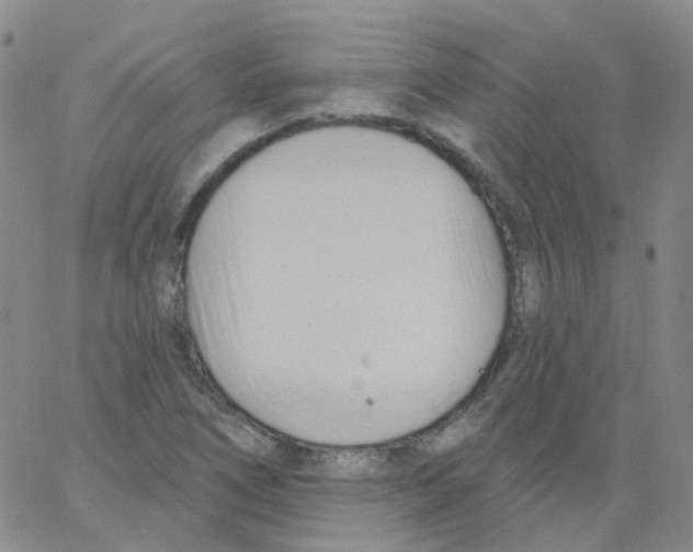 X0000062911266200602101823