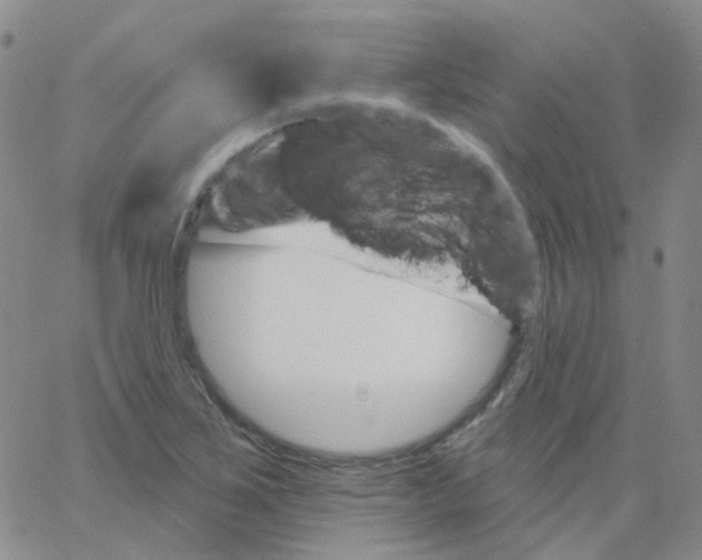 X0000062911267200602101823