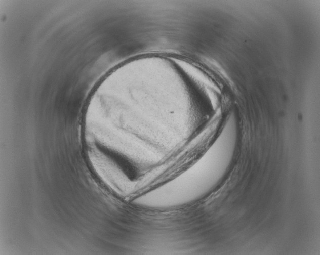 X0000062911268200602101823