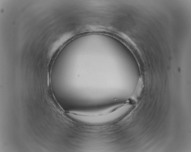 X0000062911269200602101823