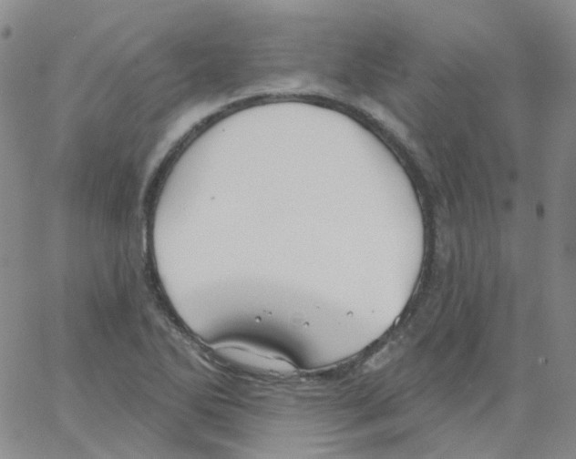 X0000062911270200602101823