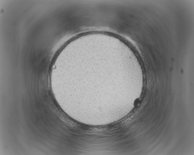 X0000062911271200602101823