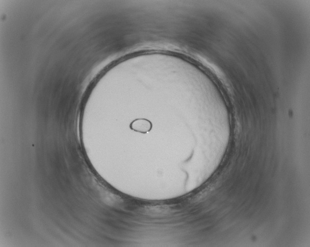 X0000062911272200602101823