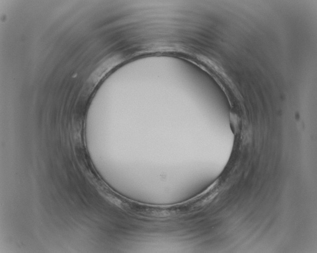 X0000062911273200602101823